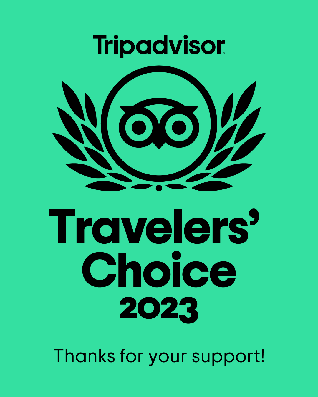 101 travellers tripadvisor