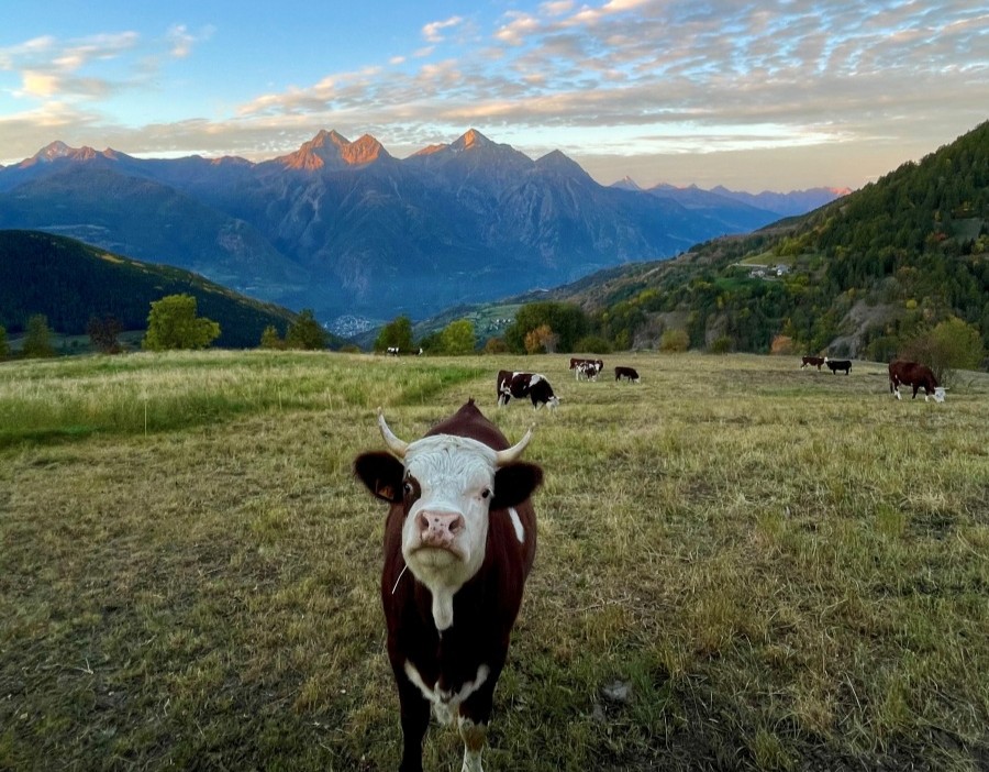 hotel with panoramic view, Aosta Valley